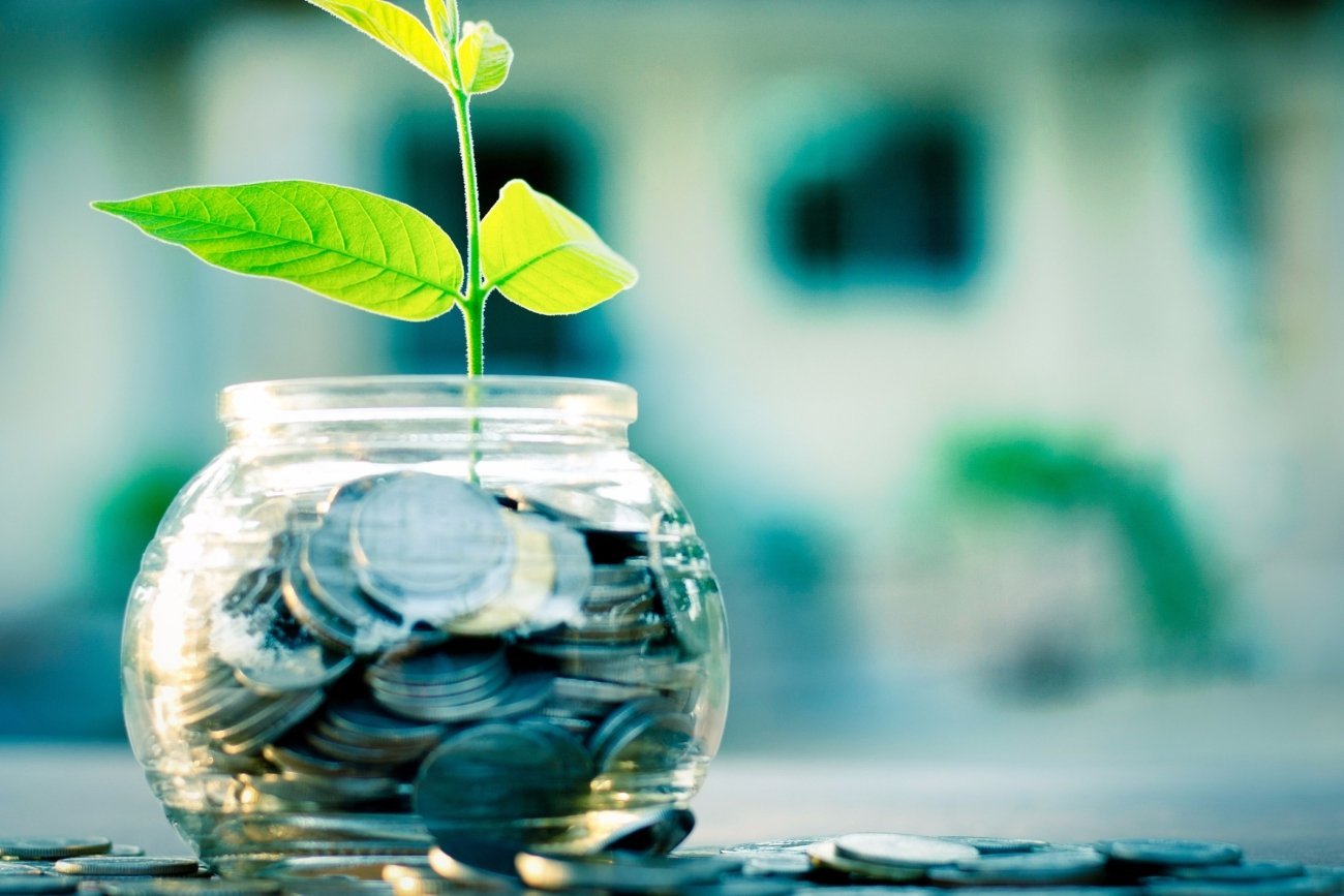 20150825140419-investments-banking-wealth-money-coins-plant-growth-success