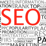 SEO expert Sunshine Coast