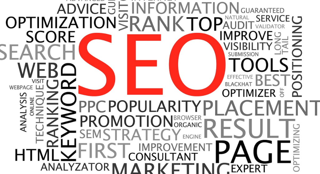 SEO expert Sunshine Coast