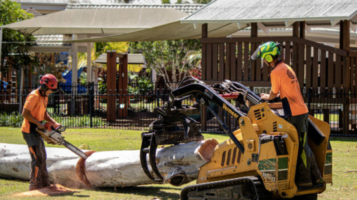 tree lopping